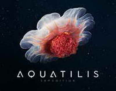 «…Ешқашан өзгермейді»: Назарбаев референдумда өз таңдауын жасады